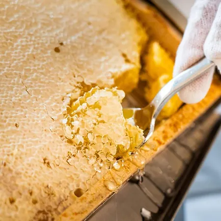 Classicx & - Gensingen