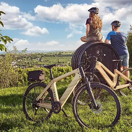 فندق Classicx & - Gensingen