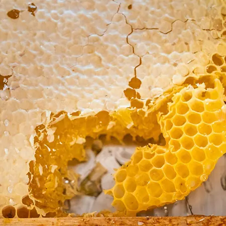 Classicx & - فندق Gensingen